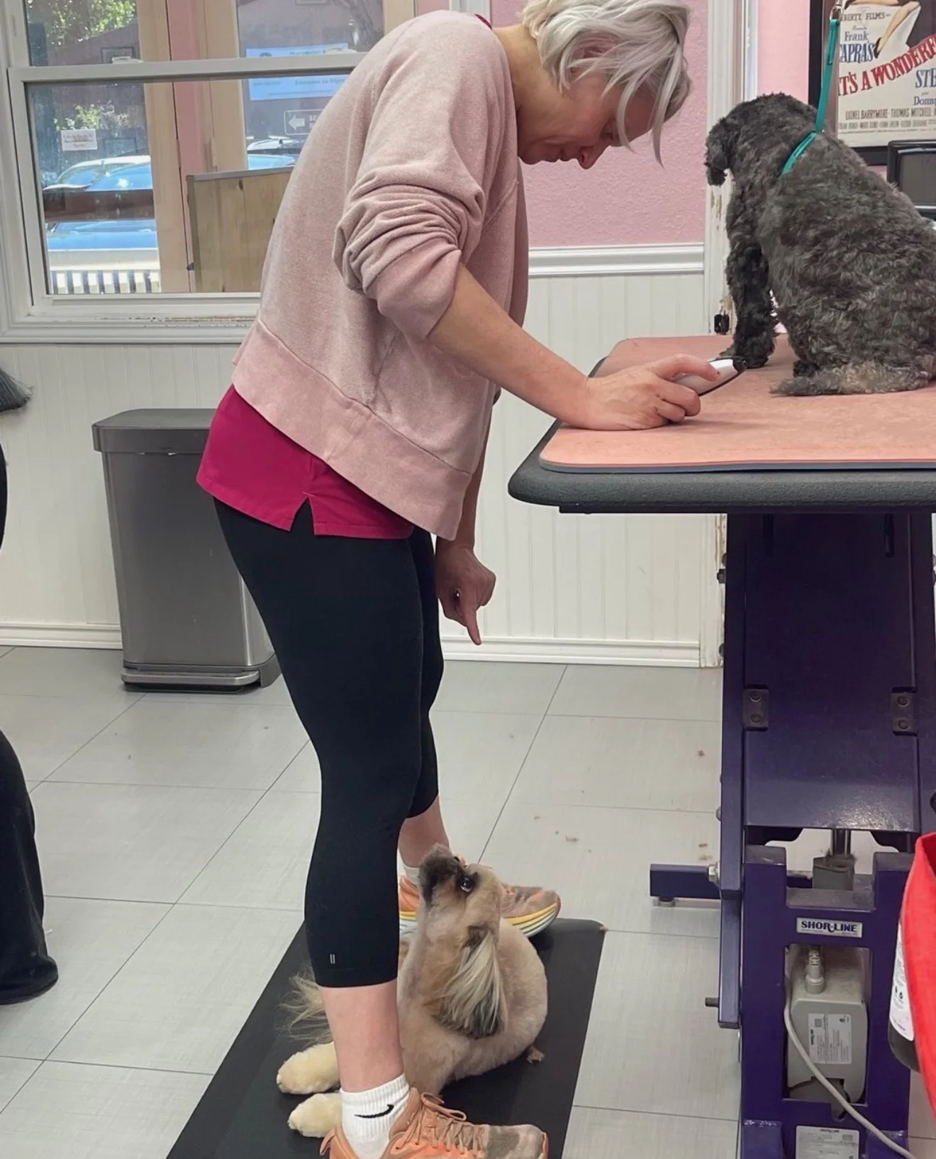 A groomer with a dark-coated dog on the table and another small dog by her feet
